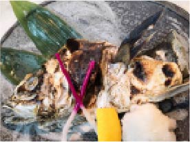 「魚菜酒房 たく美」食事イメージ