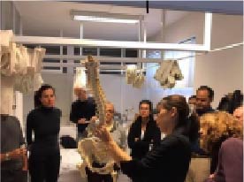 鍼灸師 柔道整復師 ピラティスインストラクター