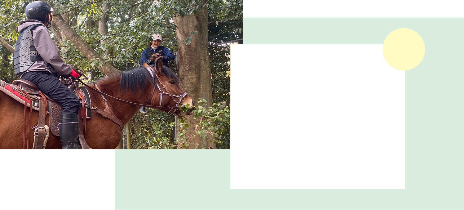 ホースパークひだまり