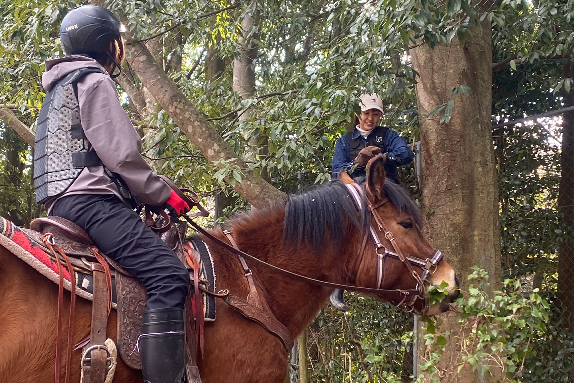 ホースパークひだまり