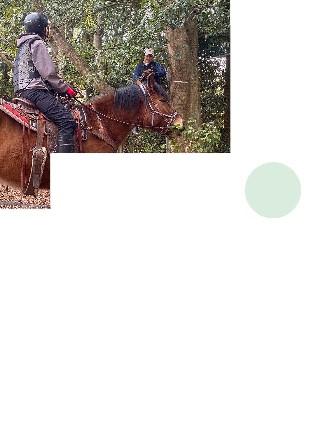 ホースパークひだまり